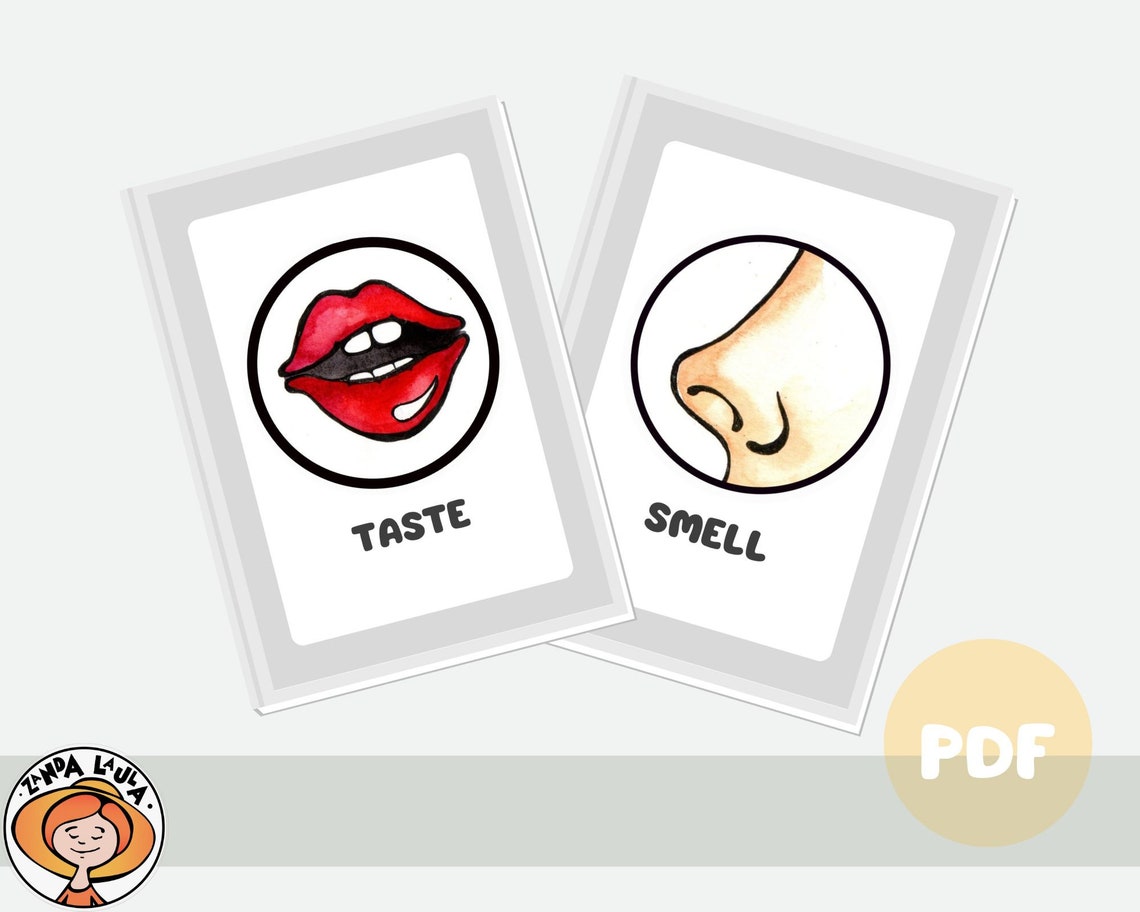 Five Senses Activity Printable, 5 Senses Colorin Pages, Homeschool ...