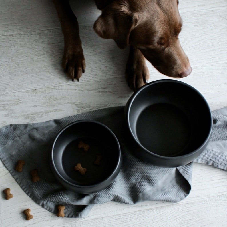 Food bowl drinking bowl MOLLY dog feeding bowl black image 1