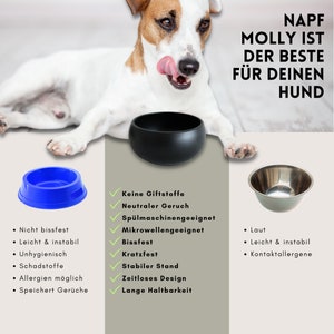 Food bowl drinking bowl MOLLY dog feeding bowl black image 8