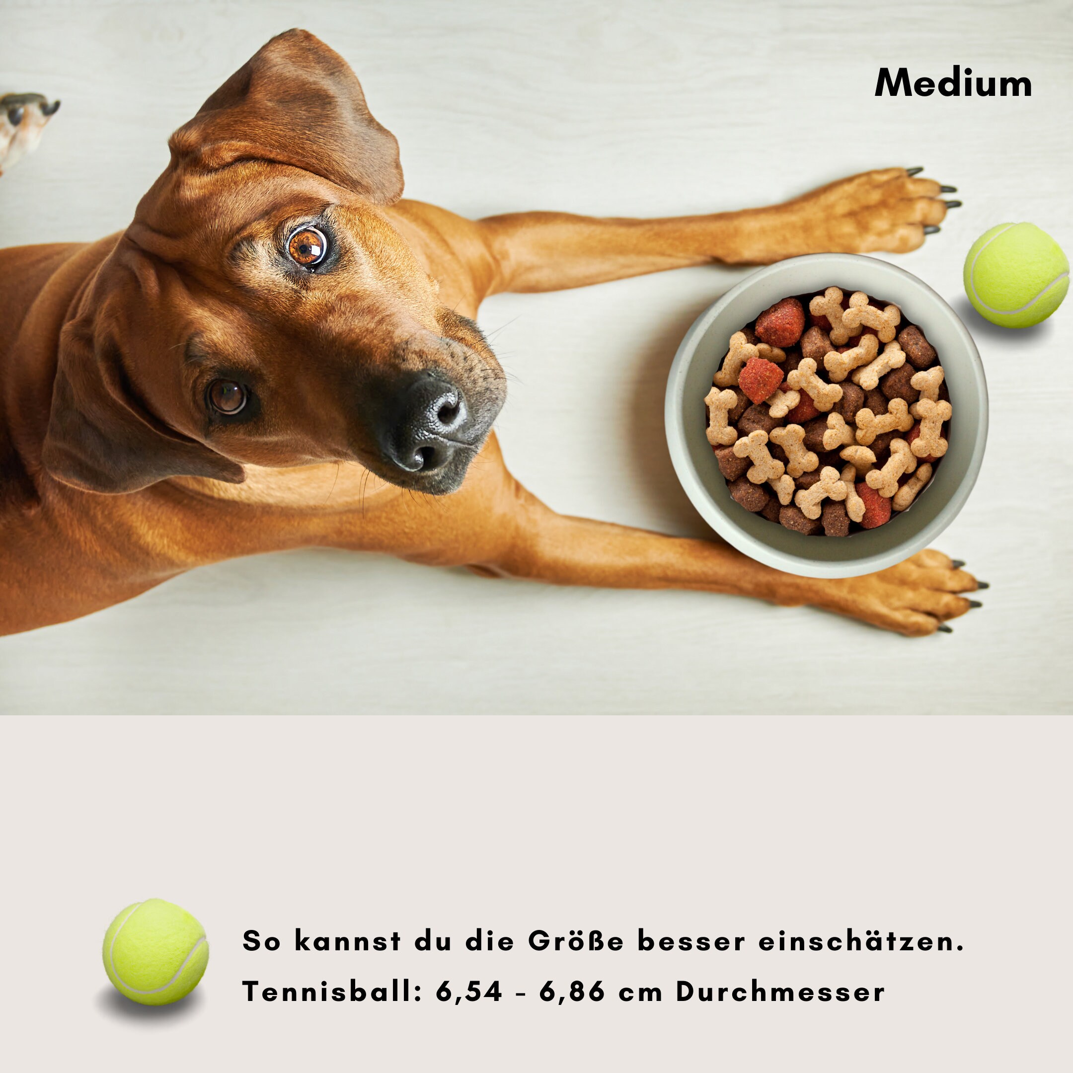 Stilvolle Khlmatte Hund Fressnapf Bilder