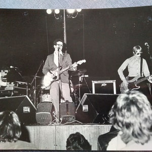 Elvis Costello concert photos
