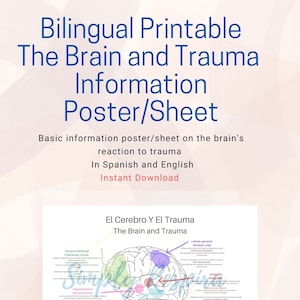 El Cerebro Y El Trauma/ The Brain and Trauma (PTSD)