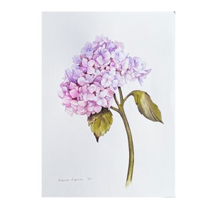 Hydrangea watercolor flowers flower painting watercolor paintings original modern painting hydrangea watercolor