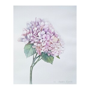 Hydrangea painting hydrangea watercolor flowers original painting