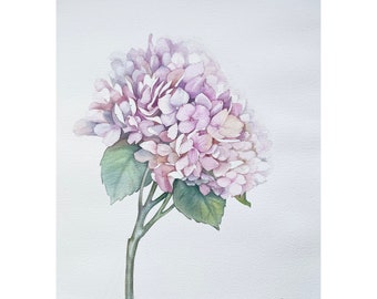 オリジナル水彩画「アジサイ」：紫色の花のボタニックアート（8x6