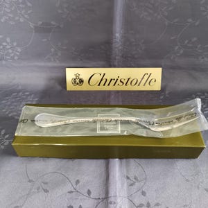 Pode incluir: Uma colher Christofle prateada em uma manga de plástico transparente, dentro de uma caixa verde. A caixa está em uma superfície cinza estampada. Uma placa dourada com o nome "Christofle" está acima da caixa.