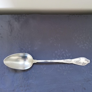 Puede incluir: Una cuchara plateada con un cuenco ovalado y un mango largo y decorado. El mango presenta un diseño floral ornamentado. La cuchara está sobre un fondo azul oscuro estampado.