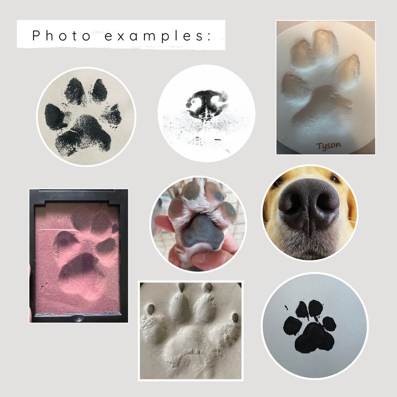 Custom Paw and Nose Print From Photo Dog Paw Nose Print Cat Paw Nose Print Dog Memorial Paw Print Cat Memorial Paw Print Pet Loss image 9