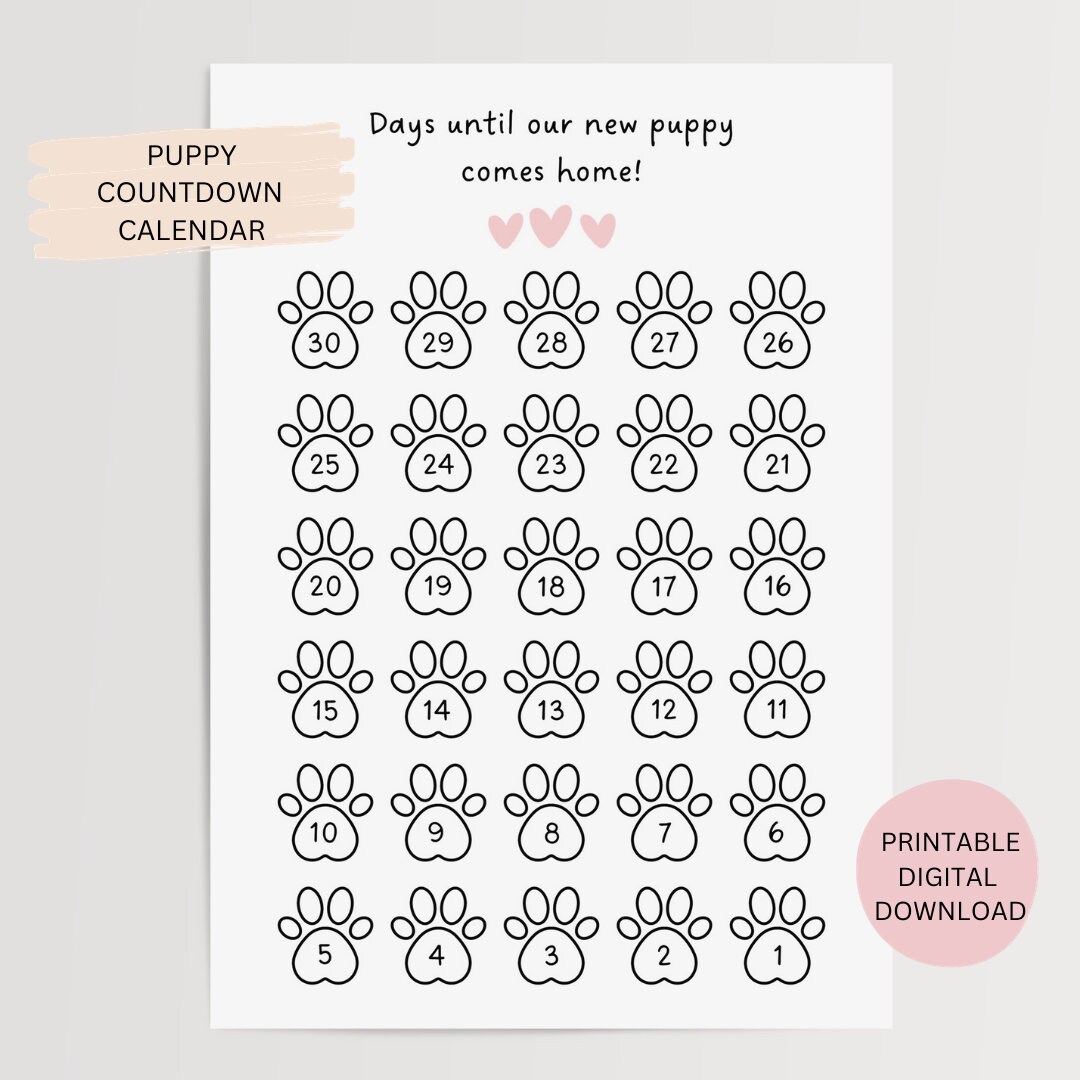 countdown-to-new-puppy-calendar-digital-download-puppy-etsy