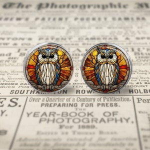 以下が含まれることがあります： ステンドグラスのデザインが施された丸いガラス製のフクロウのイヤリングのペア。フクロウは、黄色、オレンジ、赤、青、白のカラーリングで枝に止まっている。