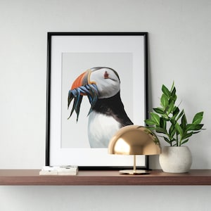 Puffin Bird Art Print, Bird Wall Art, Puffin Digital Painting. Cute Art Print for Bird Lovers