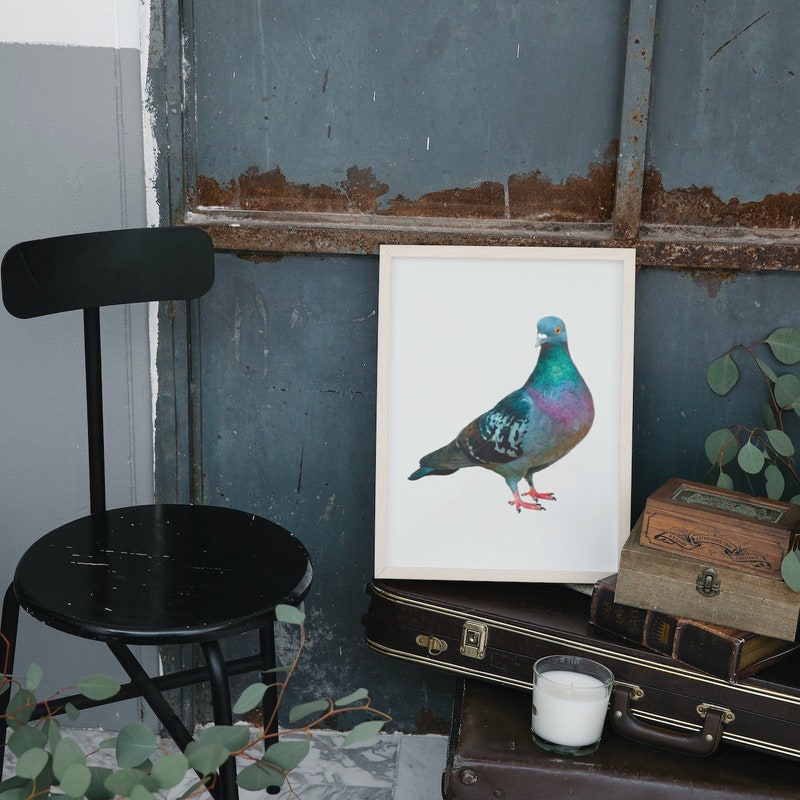 Pigeon Art Etsy pigeon-art-etsy