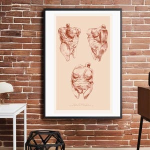 Venus of Vom Hohle Fels poster, paleolithic venus, goddess statue, scientific poster, history posters classroom, gifts for archaeologist