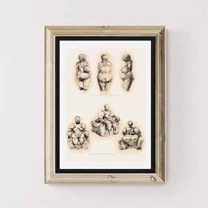Paleolithic Venus poster, paleolithic art reproductions, venus of kostenki, scientific illustration, art history posters for classroom