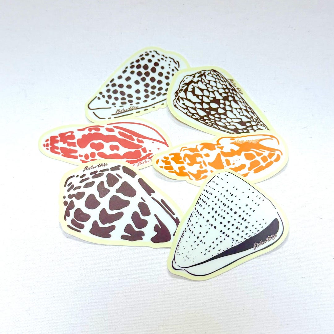 Hawaii Shell Vinyl Decals, Sticker Sheets: Papal Miter, Punctured Miter ...