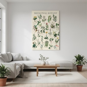 Medizinische Botanik Vintage botanische Illustration Leinwanddruck, Kräuterpflanzenkarte