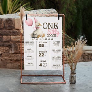 Editable One Silly Goose Pink First Birthday Milestone Sign, Boy Birthday Silly Goose 1st Birthday Decor, Download Canva Template BIR-333