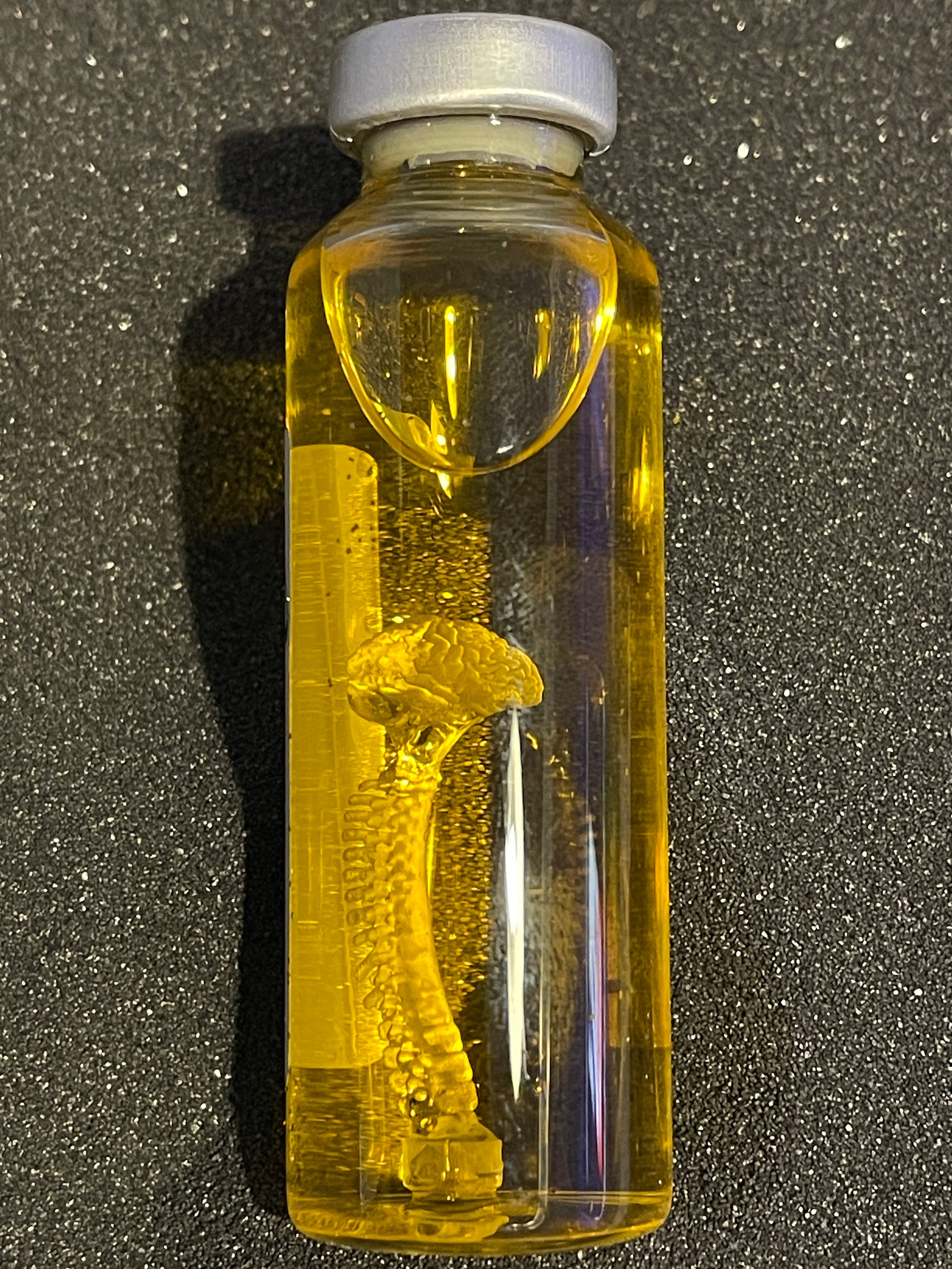 Albert Einsteins Brain In Jar