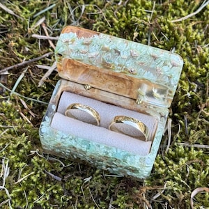Può includere: Un portagioie vintage aperto, con un motivo floreale verde, contenente due fedi nuziali d'oro. La scatola poggia su un letto di muschio verde. Gli anelli hanno un design strutturato.