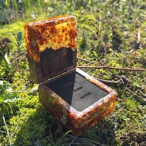 Könnte beinhalten: Geöffnete, rechteckige Ringbox mit dunklem Holzsockel und Deckel aus bernsteinfarbenem Harz. Das Innere ist mit schwarzem Stoff ausgekleidet und hat zwei Schlitze für Ringe. Die Box liegt auf grünem Moos.