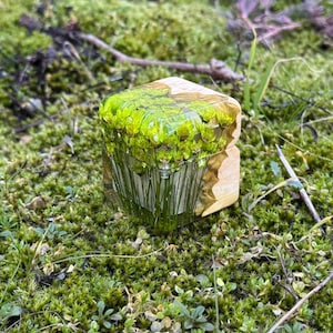 May include: A square, clear resin paperweight with a natural design. It contains preserved green plants and grasses, encased in clear resin. The paperweight sits on a bed of green moss.