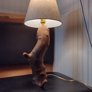 Beautiful log lamp, rustic tree branch table lamp
