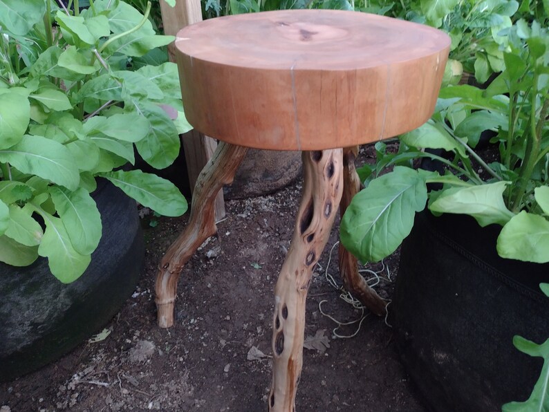 Rustic Live Edge Stool Live Edge Rustic Stool or Side Table - Etsy