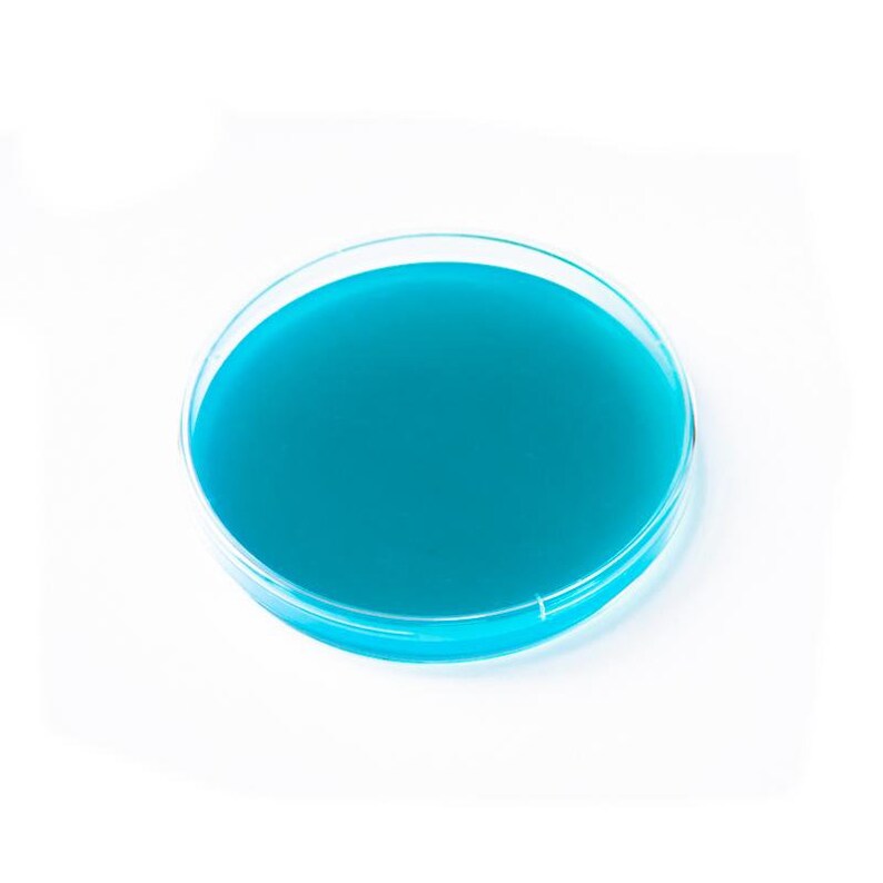 Pre Poured Agar Plates Half Strength LME CANADA Etsy