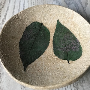 May include: A round, beige decorative bowl with a textured surface. Two dark green leaves with visible veins are pressed into the bowl's surface, creating a natural, organic design. The leaves have hints of purple.