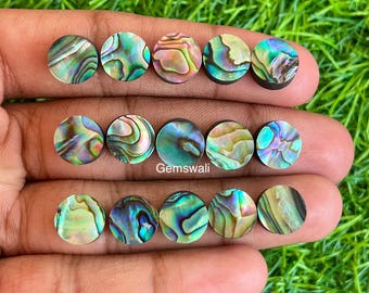 10 MM, abalone schelp ronde cabochon, 10 stuks veel schelp cabochon, gekalibreerde edelsteen cabochon, schelp abalone cabochon