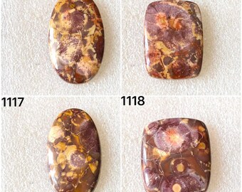 Gema de Jaspe Olho de Pássaro Natural Cabochão, Pedra Solta para Fabricação de Joias (1115-1118)
