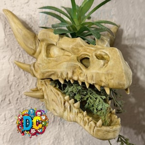 Maceta con forma de dragón / Decoración de fantasía medieval / Cráneo de dragón impreso en 3D / Opciones pintadas a mano
