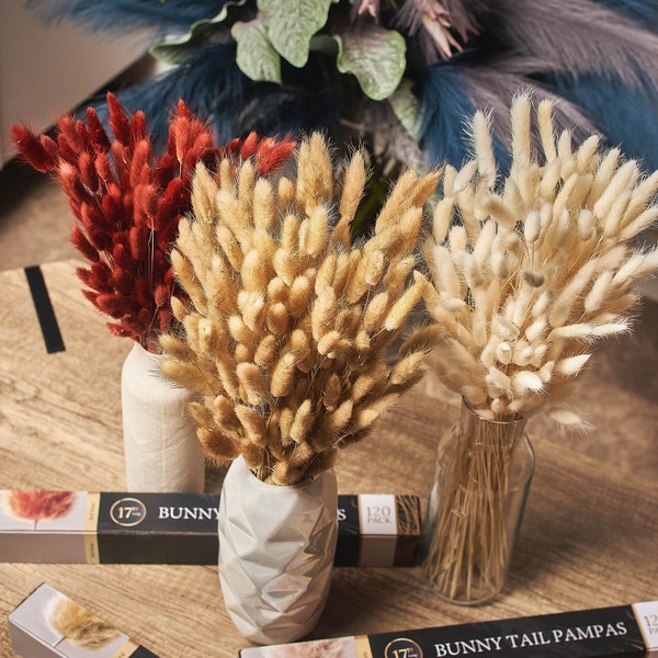 BUNNY TAILS Dried Flowers – 60/90/120 Handpicked Bouquets – Pampas Grass Wedding Decor – Wedding Flowers Home Decor – Dry Bridal Bouquets