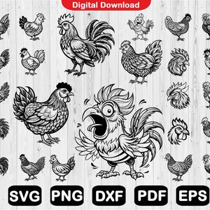 Lot poulet Svg, Svg coq, poulet fou, Silhouette de poulet, fichiers Svg pour Cricut, Clipart, fichier coupé, Png, Svg, Dxf, Pdf, Eps