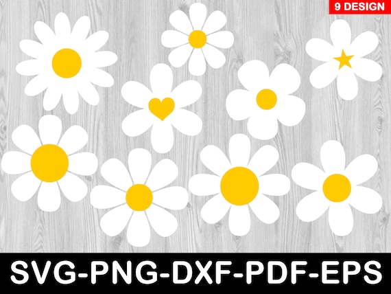 Daisy SVG Bundle: Flower Cut Files for Cricut, Cameo (Digital Download)