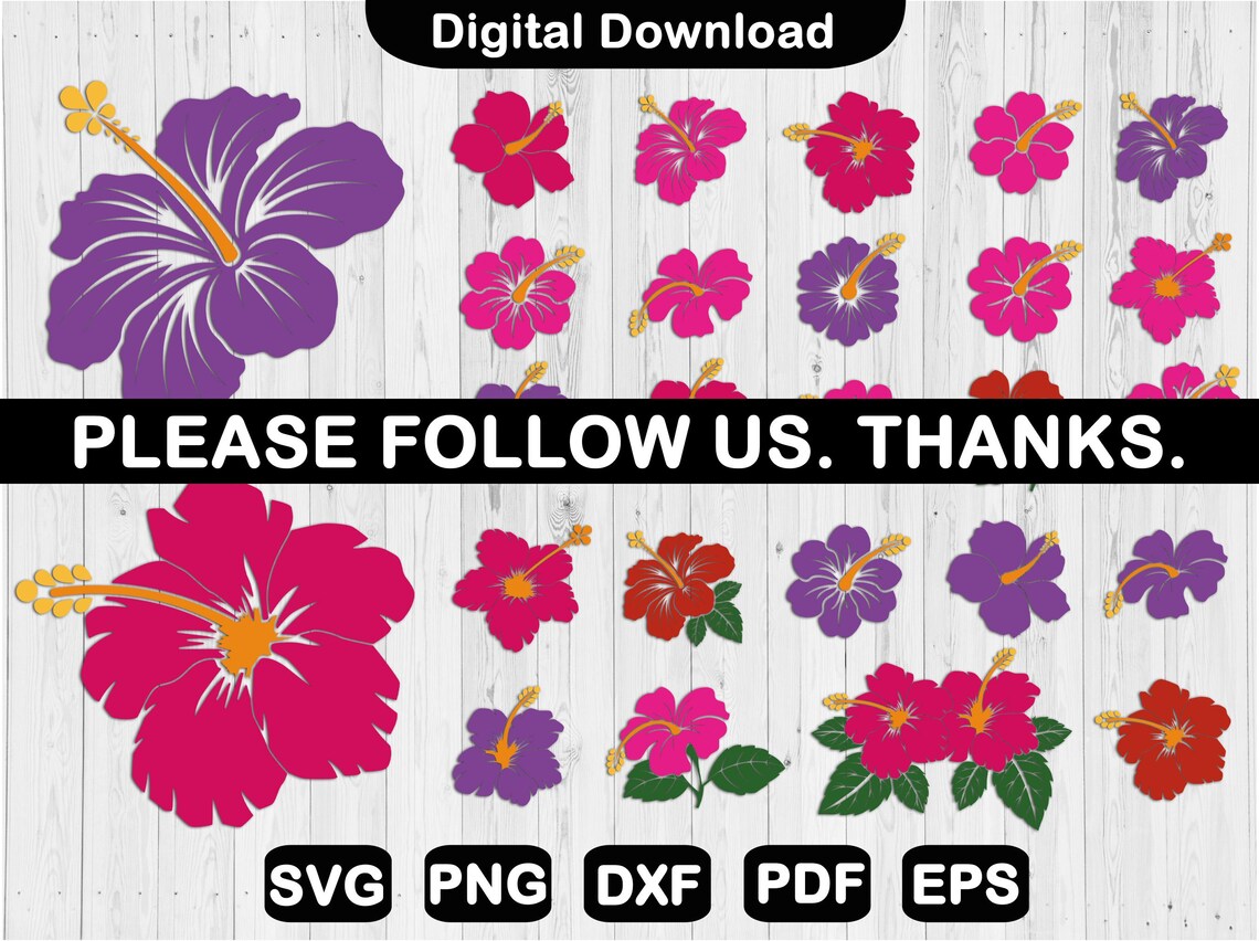 Hibiscus Flower SVG Bundle: Tropical Floral Clip Art (digital Download ...