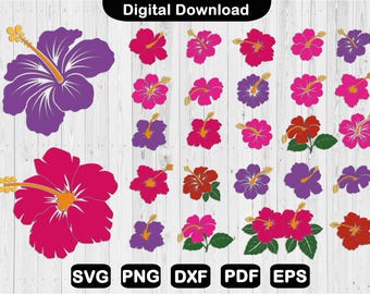 Hibiscus Flower SVG Bundle: Tropical Floral Clip Art (Digital Download)