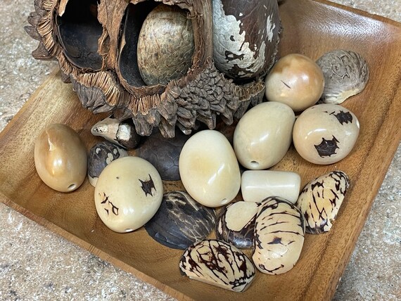 GLAMOUROUS tropical IVORY TAGUA Nut Beads Beaded … - image 9