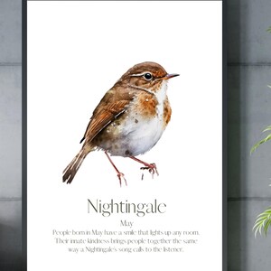 May Bird Art Print Nightingale Bird Month Print Birth Month Bird Art Bird Month Wall Decor Nightingale Wall Decor Birth Month Gift Idea