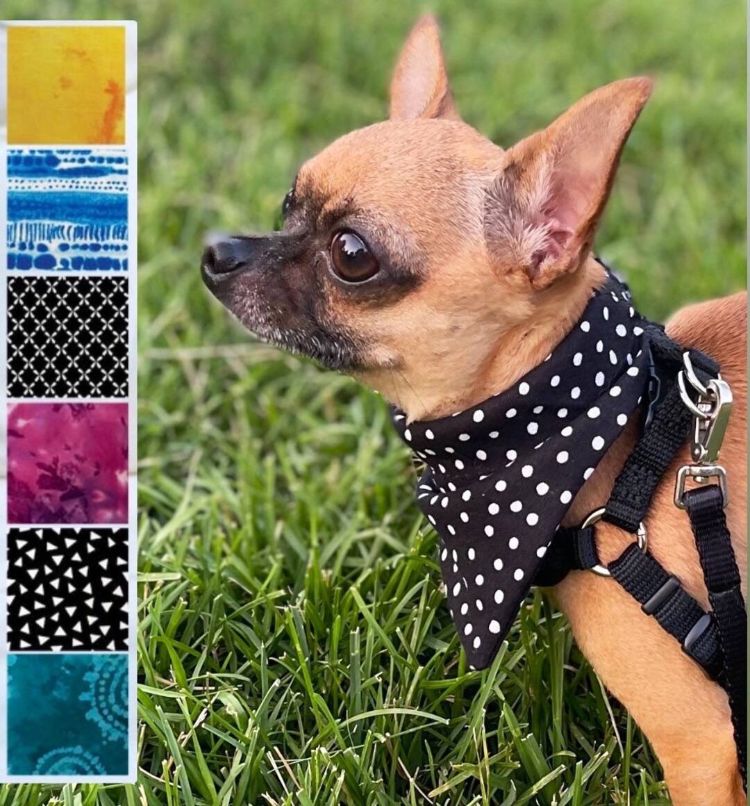 Hand Made Snap on Dog Bandana and Hair Scrunchie Set Scrunchy Etsy