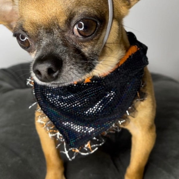 Shiny black / orange bat Halloween  reversible pet bandana with  lace trim.with removable snap collar,  optional hair scrunchy