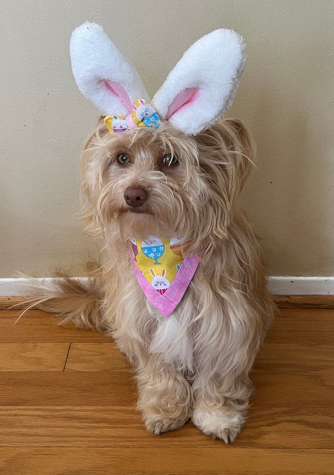 Dog Bunny Ears With Little Bow and Bandana/ Reversible Yellow Bunnies ...