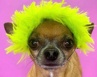 Halloween Dog & Cat Headband – Green Wig Style | Frankenstein, Spooky or Striped-Inspired Costume Accessory