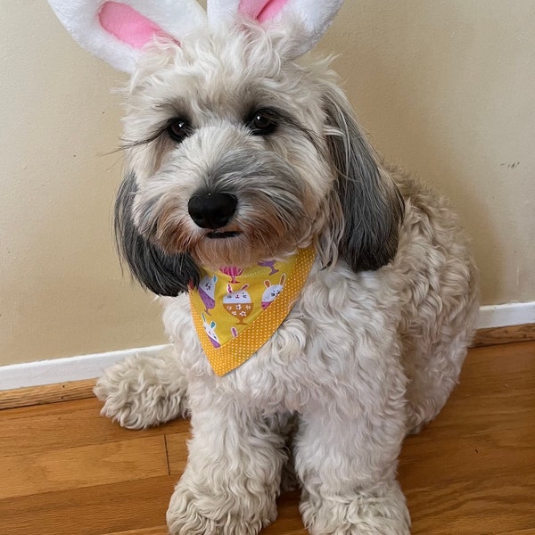 dog bunny ears and bandana/ reversible yellow bunnies yellow trim / blue Easter eggs. snap on collar, matching scrunchy