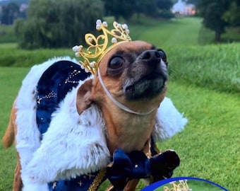 Handmade Royal Blue & Gold Pet Robe: King Cat Cape with Crown