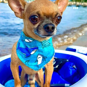 Reversible Sushi Sharks Dog Bandana with Matching Scrunchy