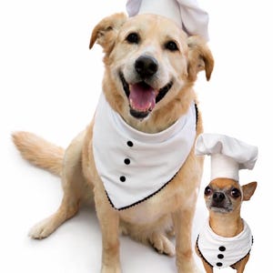 Sous Chef Dog Outfit, White Chef Hat & Apron Bandana Set, Halloween, Birthday, Photoshoot
