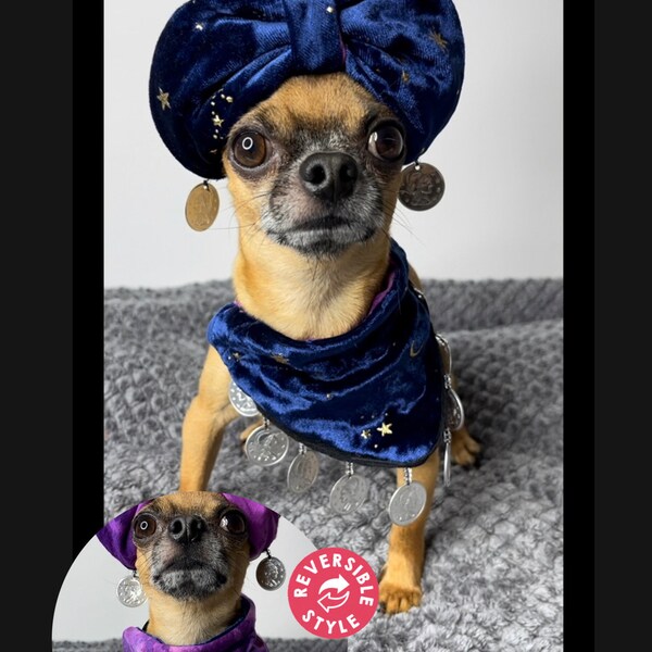 Gypsy bandana, reversible purple and blue, magic sodiack, fortune teller,  pet bandana with coin trim. removable snap collar , optional hat