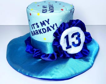 Handmade Dog Birthday Hat: Custom Pet Party Photo Prop