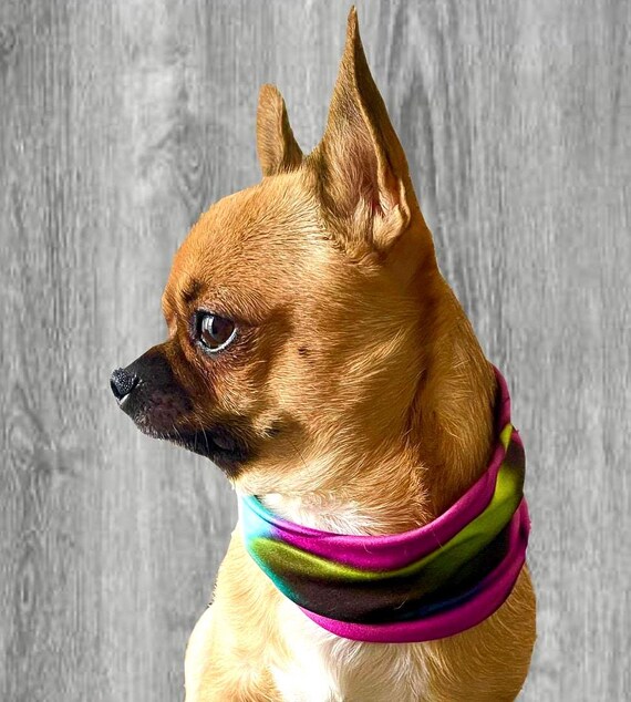bamboo dog collar with built in leash TUG Grab Collar | Integrated Traffic Leash Magnetically Attached for Quick  Control